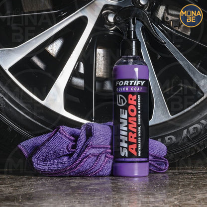 LIMPIADORA DE CARRO  RENOVA CARS - SHINNE ARMOR + PAÑO™